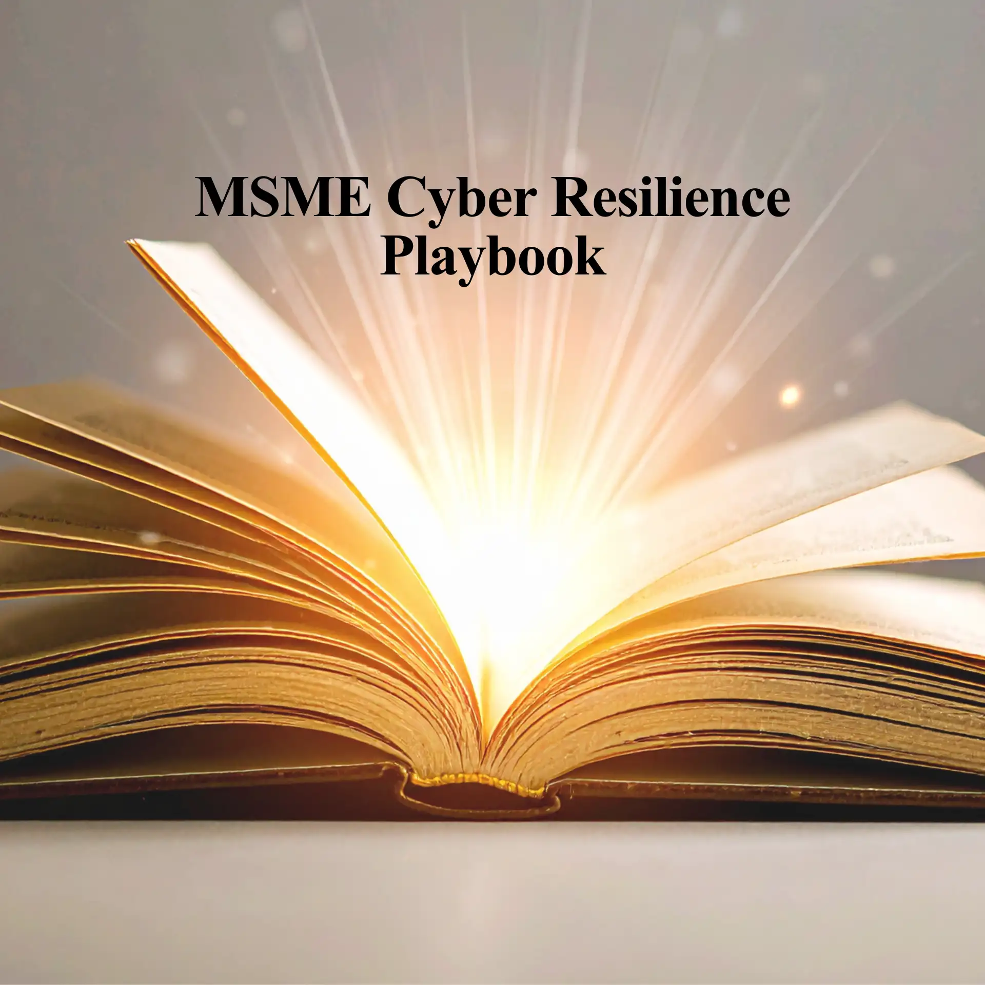 MSME Playbook